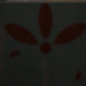 Meet your Posher, Kenny